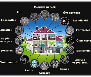 Miért beteg a házam?