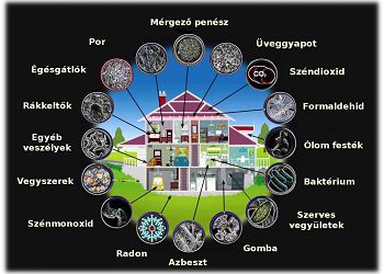Miért beteg a házam?